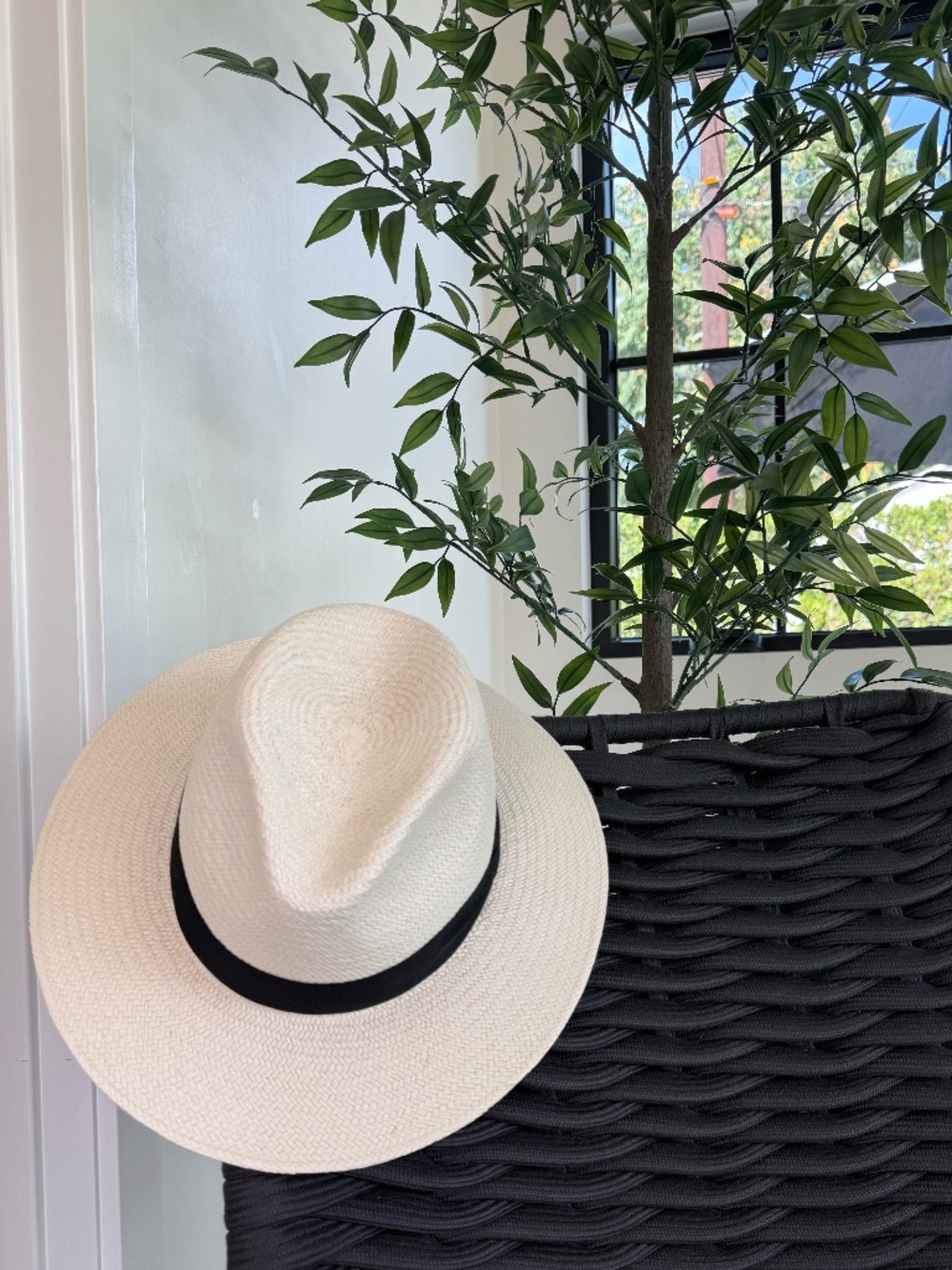 White Panama Hat
